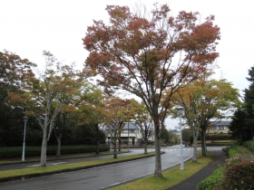 2013102403.jpg