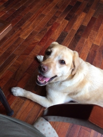 2014052703.jpg