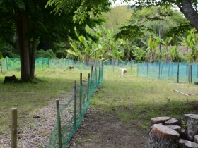 2014052704.jpg