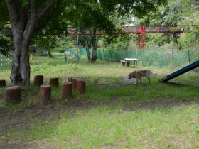 2014052705.jpg
