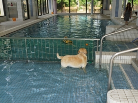 2014052707.jpg