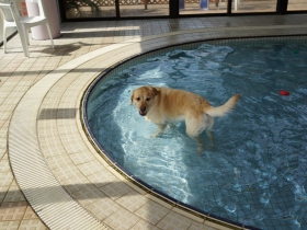 2014052708.jpg