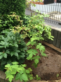 2014070807.jpg