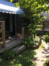 2014080301.jpg