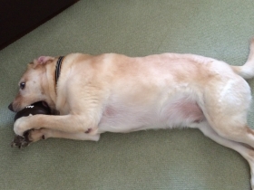 2014080306.jpg