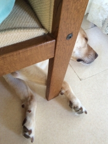 2014080307.jpg