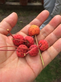 2014090302.jpg