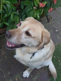 2014090303.jpg