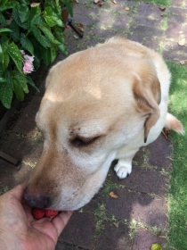 2014090305.jpg