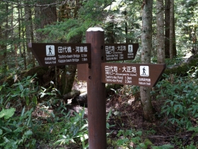 大正池方面コース