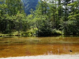 田代池