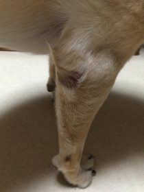 2014092801.jpg