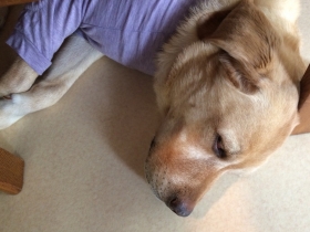 2014092806.jpg