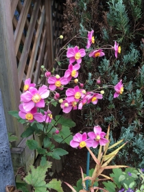 2014092807.jpg