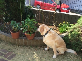 2015033107.jpg