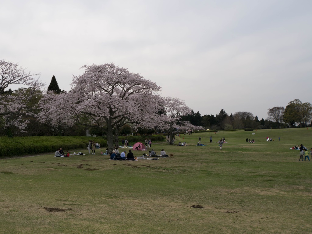 2016040702.jpg