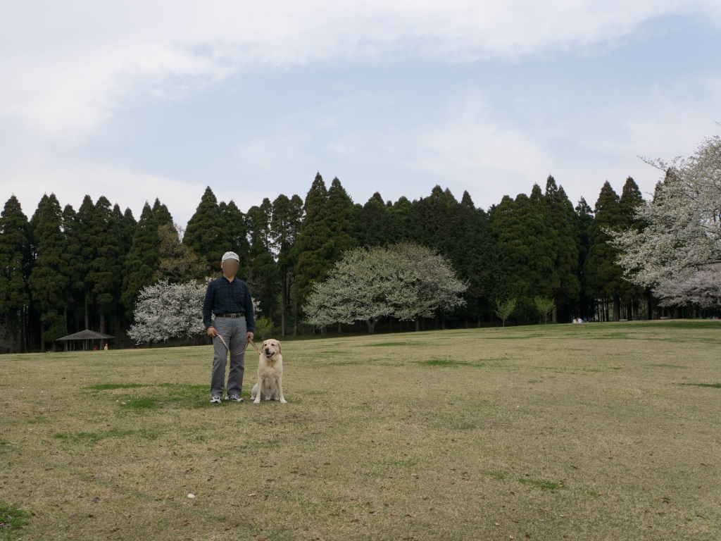 2016040704.jpg