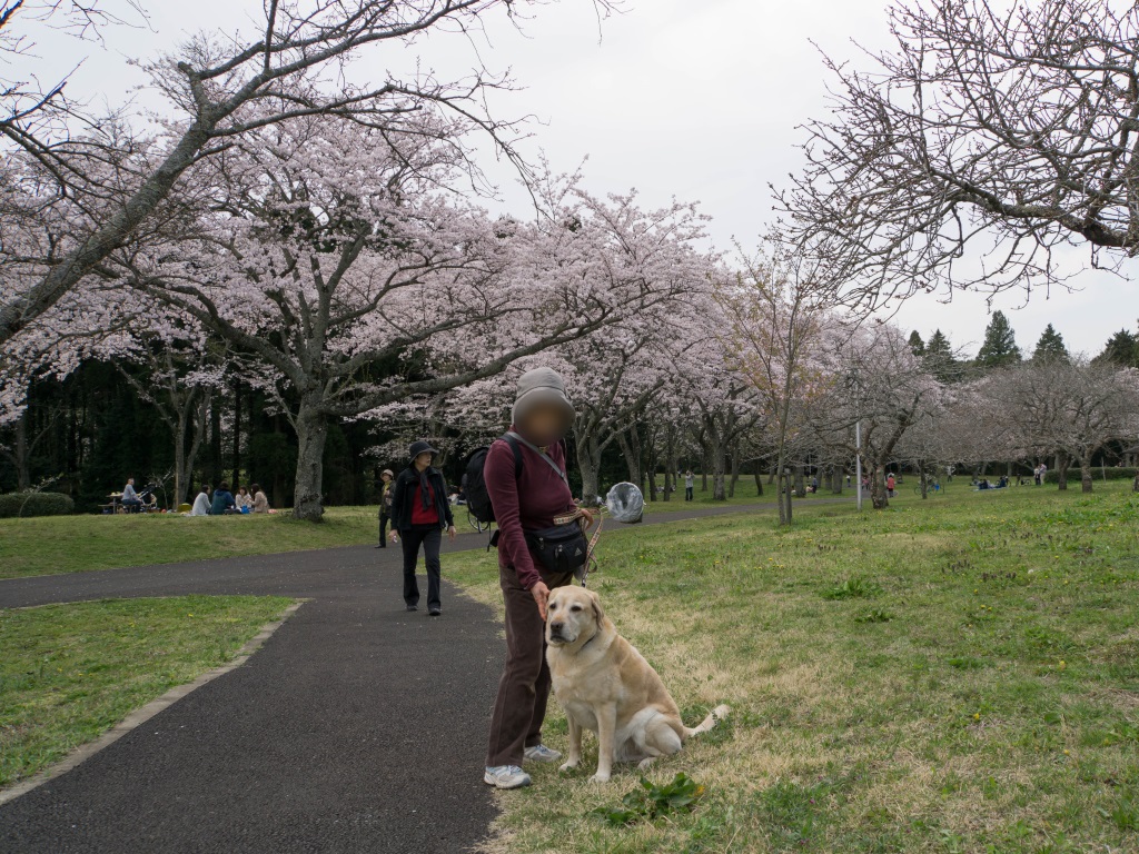 2016040705.jpg