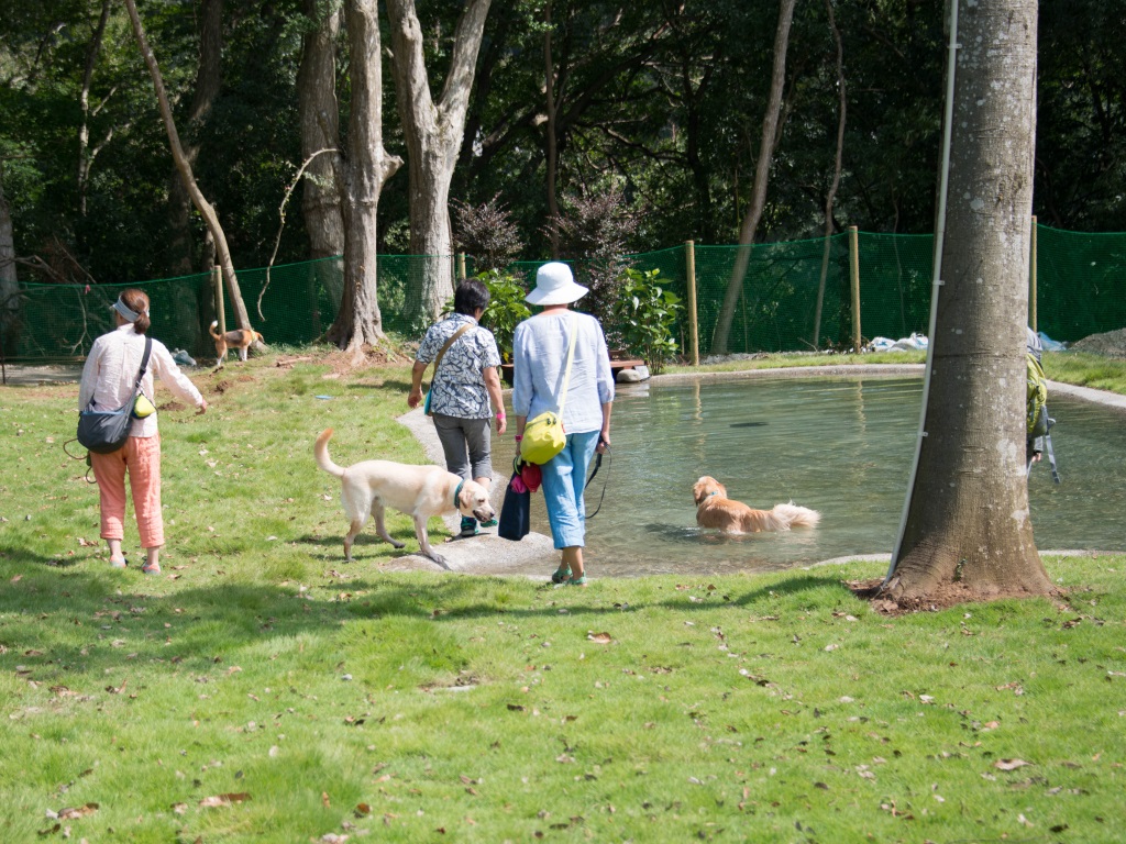2016090114.jpg