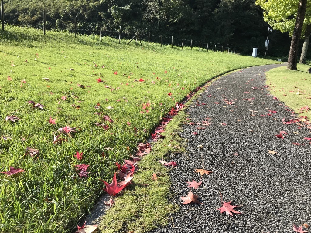 2017101801.jpg