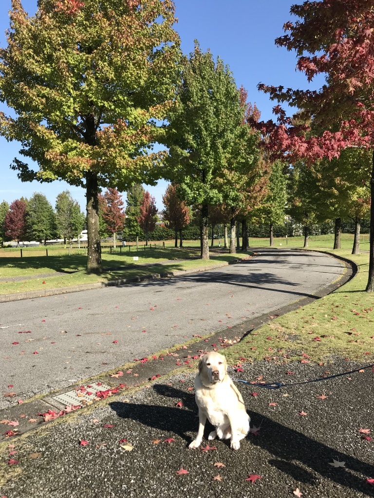 2017101802.jpg