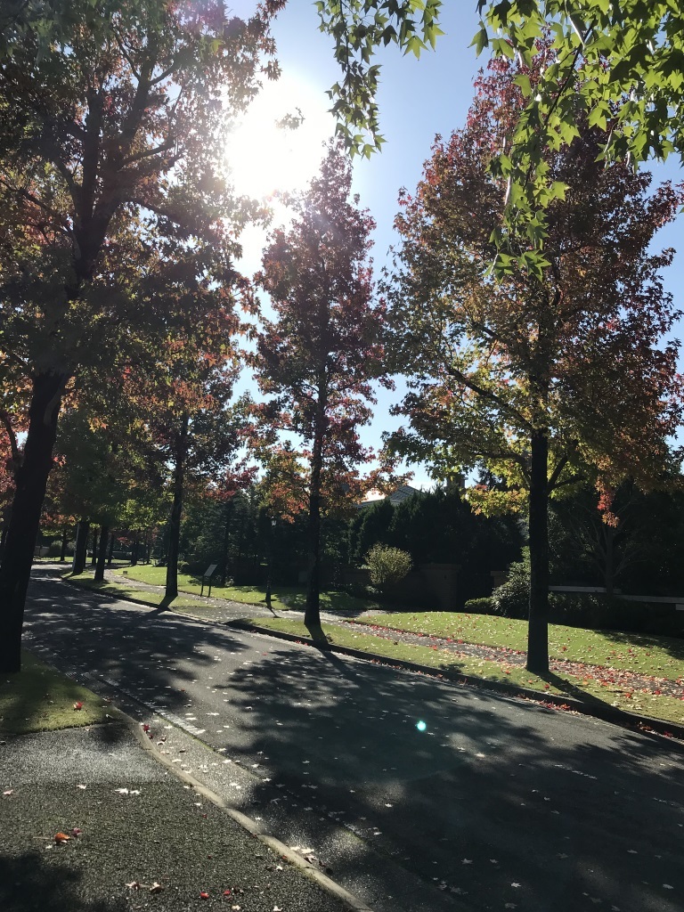 2017101804.jpg