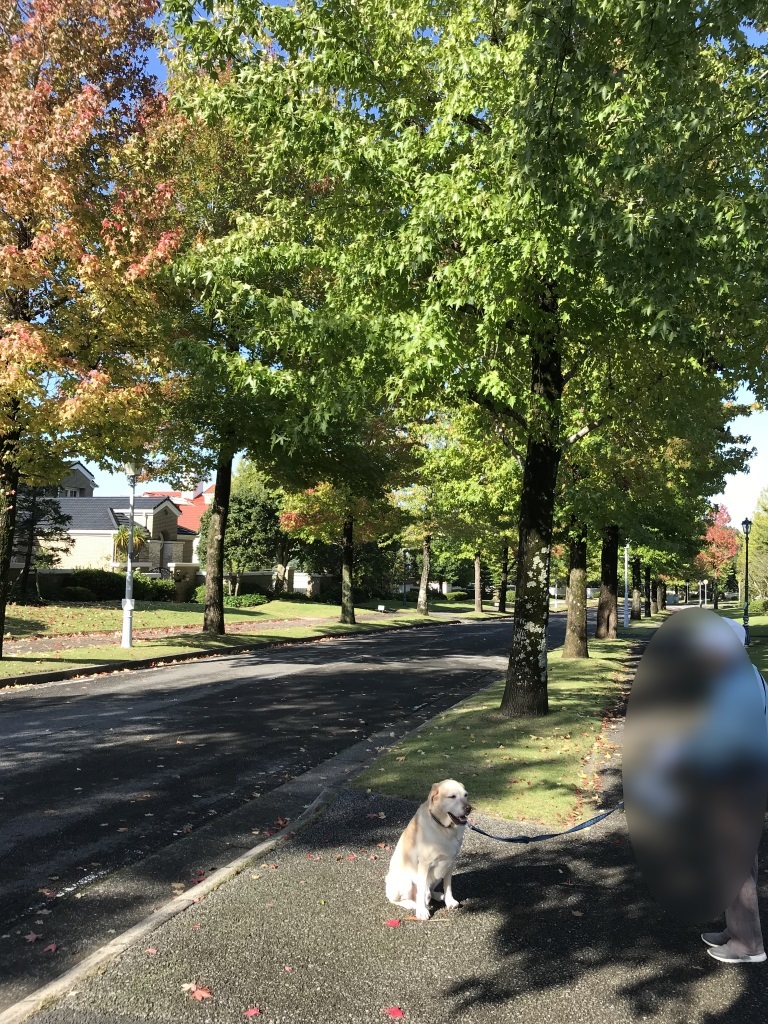 2017101806.jpg