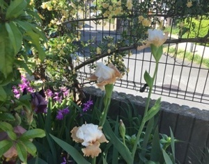 2018050308.jpg