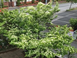 2018050312.jpg