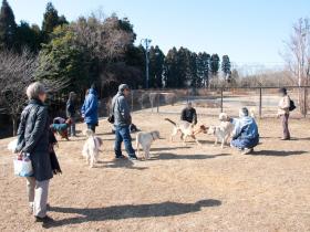 犬も人もふれあいを楽しむ