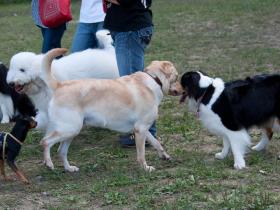 DSC_2355s.jpg