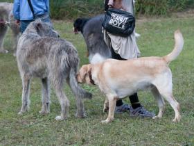 DSC_2360s.jpg
