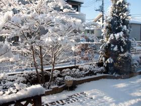 DSC_2479s.jpg