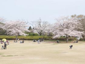 DSC_2675s.jpg