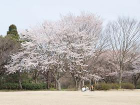 DSC_2678s.jpg