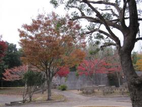 身近な紅葉スポット
