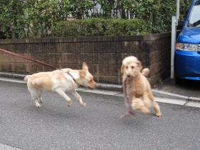 ぶっ飛びの二人