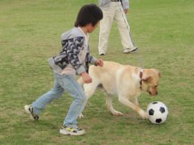 IMG_0401s.jpg