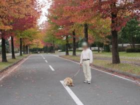 IMG_0642ss.jpg