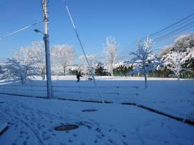 IMG_0721s.jpg