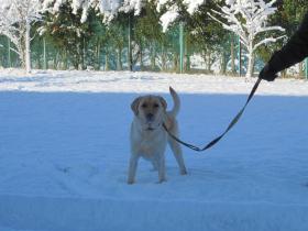 IMG_0724s.jpg