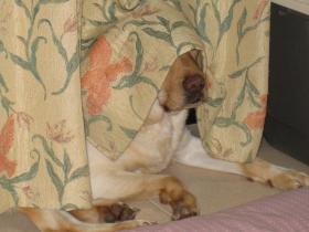 IMG_1881s.jpg