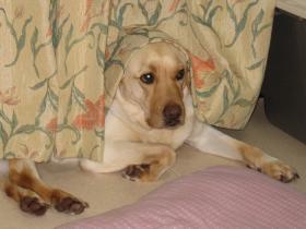IMG_1891s.jpg