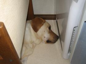 IMG_1896s.jpg