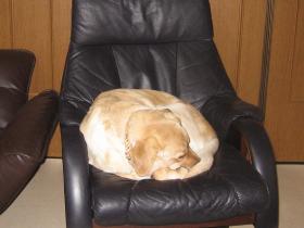 IMG_2067ss.jpg