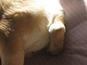 IMG_2083ss.jpg