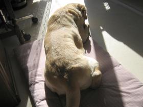 IMG_2084ss.jpg
