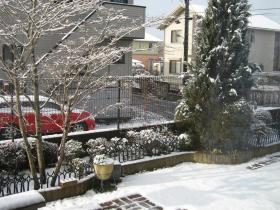 IMG_2085ss.jpg