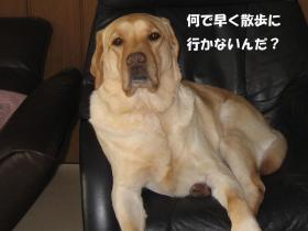 IMG_2088ss.jpg