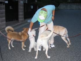 モテモテ！
